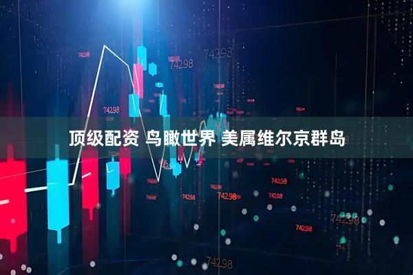 顶级配资 鸟瞰世界 美属维尔京群岛