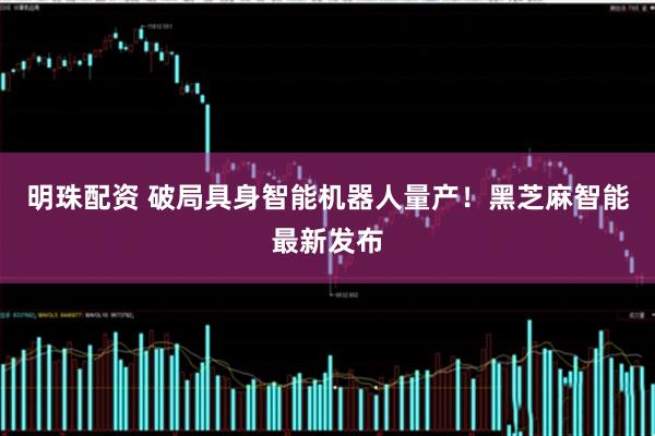明珠配资 破局具身智能机器人量产！黑芝麻智能最新发布